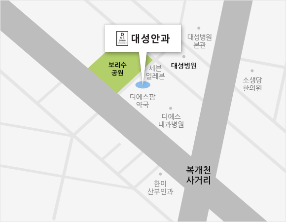 대성안과 이미지 지도